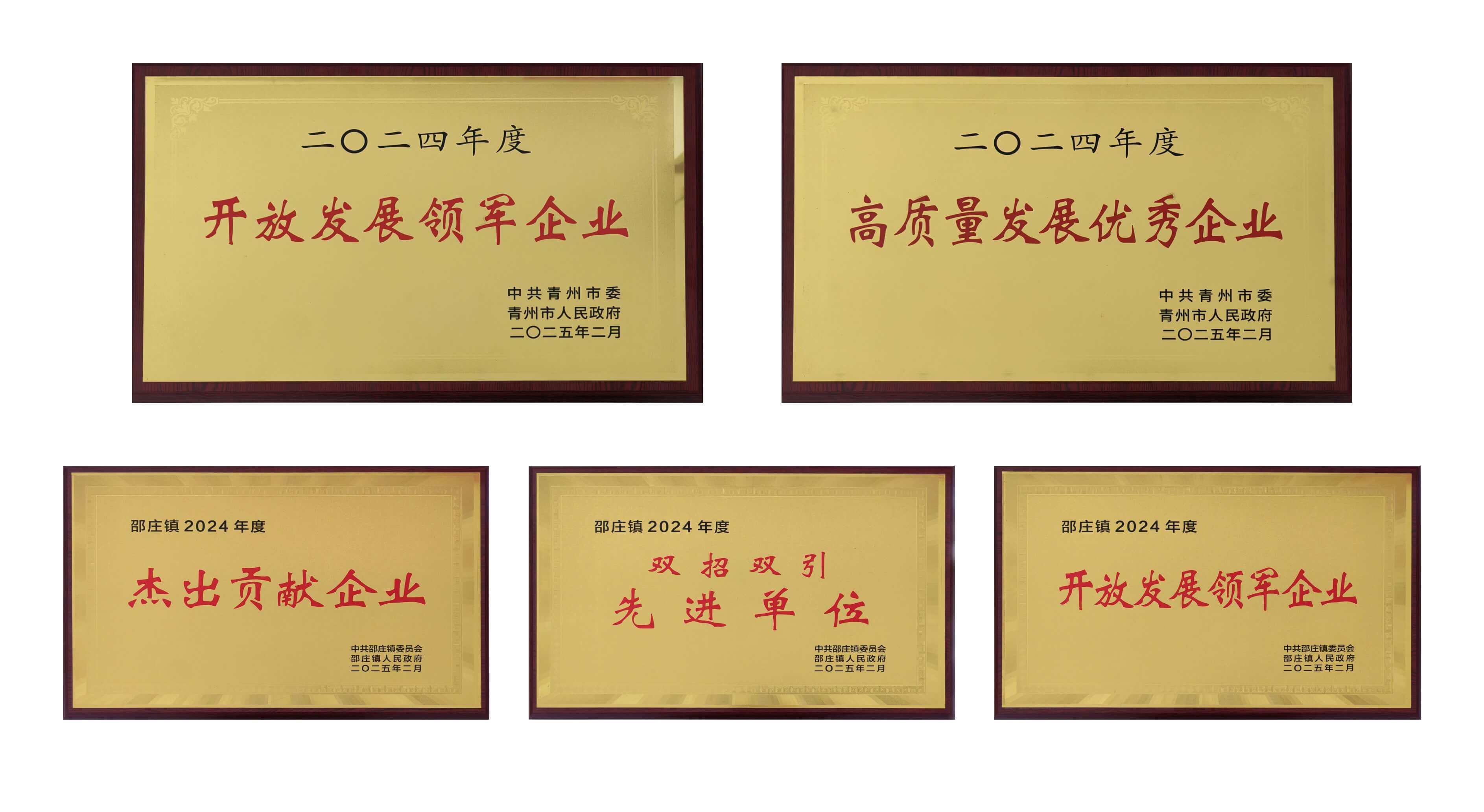 山东letou乐投医疗荣获多项殊荣