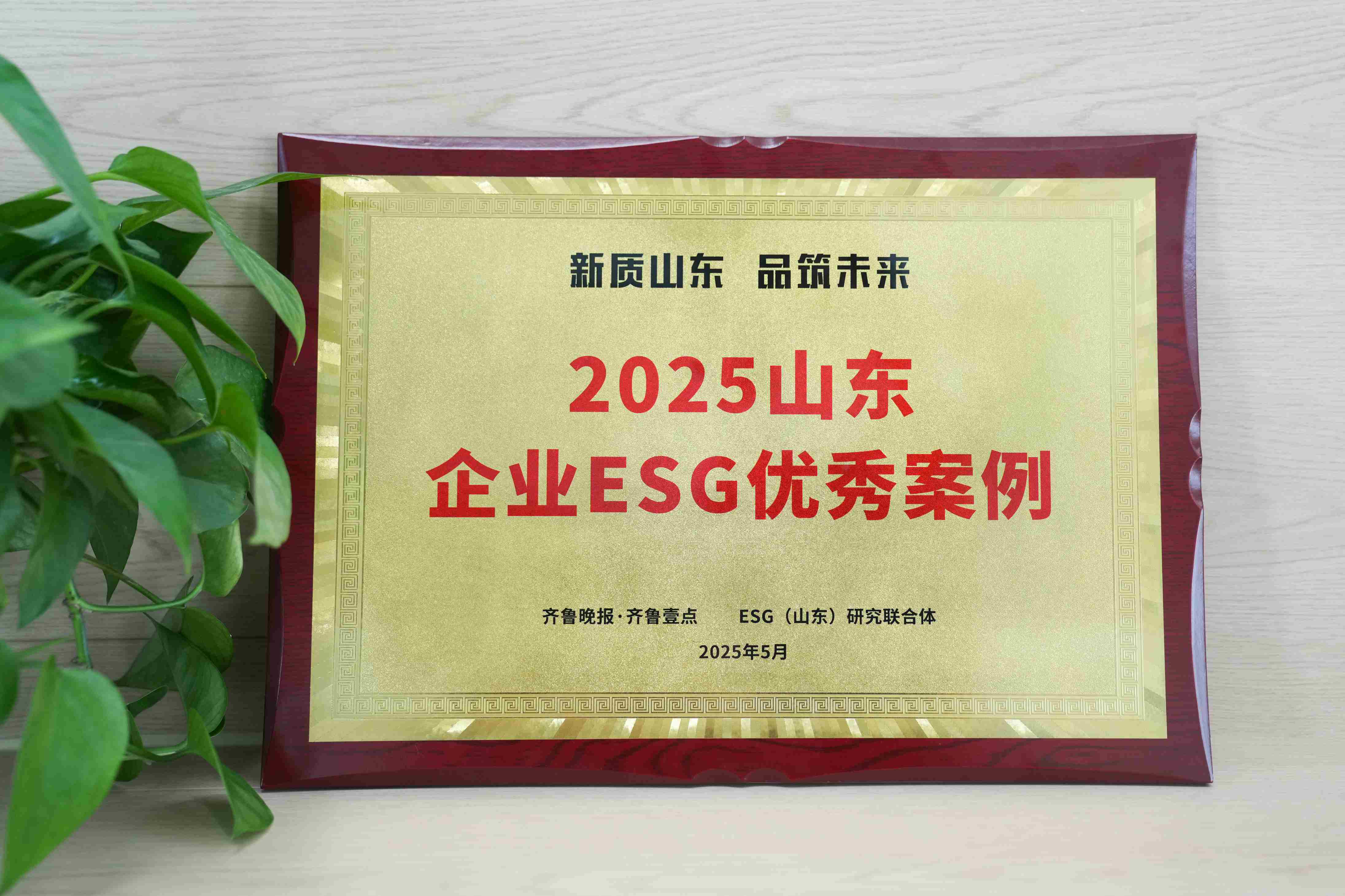 letou乐投医疗入选2025山东企业ESG优秀案例